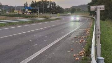 道路に無数のタマネギ散らばる　スリップの原因に…警察などが回収　北海道・美幌町