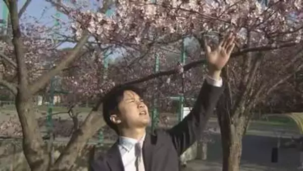 【札幌・円山公園中継】一足早いお花見  満開予想は今週末25日　つぼみから満開への「経過を楽しむ」