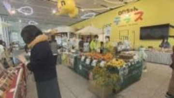 あすは「国際女性デー」札幌で「HTB創世ミモザマルシェ」開催　女性の健康や働き方を考えるイベントも