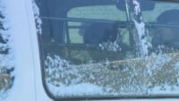 女子高校生を少なくとも4、5回待ち伏せか　高校に不法侵入した疑いで逮捕の帯広市の男（49）再逮捕