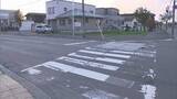 「犬の散歩中‥青信号の横断歩道わたっていた84歳男性はねられ死亡 軽乗用車の前方不注意か　江別市」の画像1