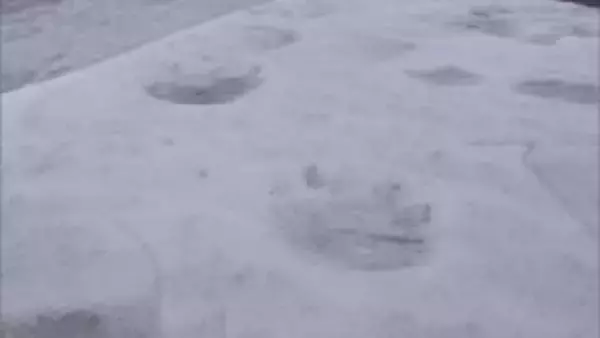 冬眠明けか？函館市内でクマの出没情報相次ぐ　中学校校庭に大小クマの足跡　親子の可能性も　警戒呼びかけ