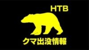 道内　クマ目撃相次ぐ　釧路市鶴丘で体長1mのクマ　浦河町向別の住宅付近でも体長1mのクマを目撃