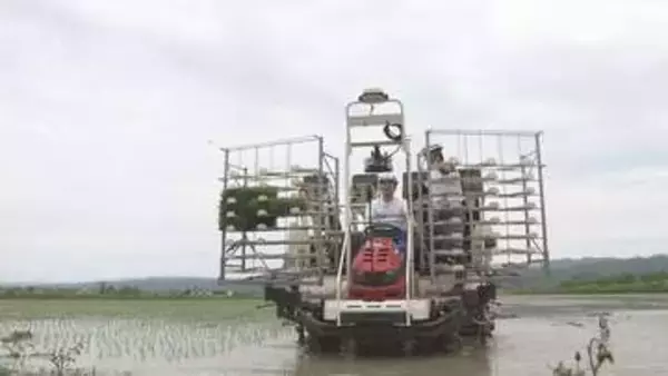 道産米「ゆめぴりか」田植えシーズン本格化　鈴木知事が田植え機を運転「食べて応援を」　由仁町