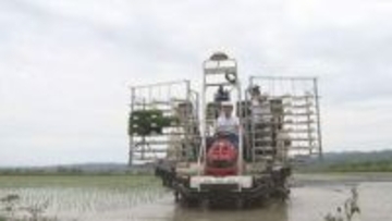 道産米「ゆめぴりか」田植えシーズン本格化　鈴木知事が田植え機を運転「食べて応援を」　由仁町