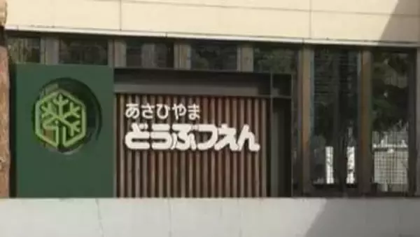 旭山動物園の開園延期を受け…旭川市内で観光客をもてなす緊急企画があす29日からスタート