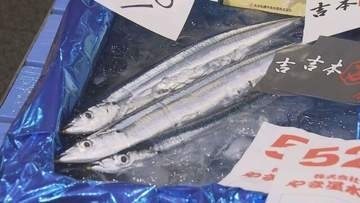 【サンマ初競り】1kg111万2000円！　札幌の市場でも過去最高値を更新