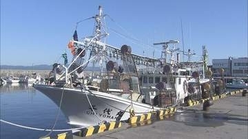 解禁初日迎えた道南スルメイカ漁　漁獲量は「ほぼゼロ」　初競りは2年連続中止の見込み　厳しい船出に