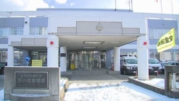 「どのように叩いたか覚えていない」21歳妻を殺人未遂の疑いで逮捕　金属製ハンマーで夫の頭を殴ったか