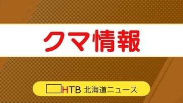 旭川紋別自動車道でクマの親子2頭が相次いで車に衝突「動物は突然現れる」警察が注意呼び掛け　遠軽町