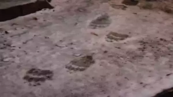 ＜速報＞雪の上にクマの足跡　札幌市中央区宮の森でクマ目撃　北海道神宮や円山動物園でも…