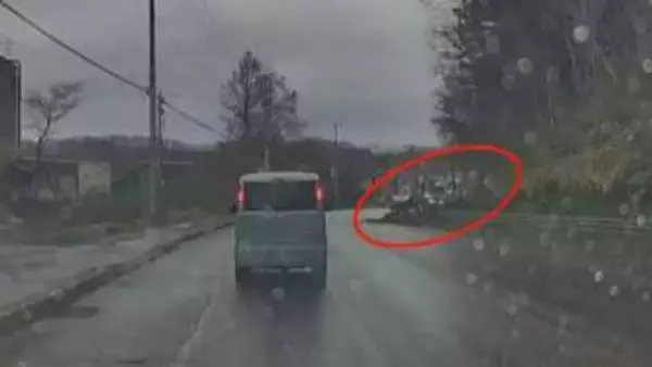 【ドラレコ】北海道内各地で強風…小樽市　国道に倒木の瞬間が捉えられる　一時片側交互通行もけが人なし