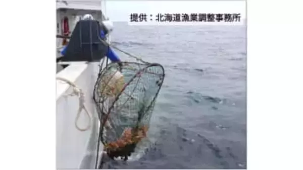 「貨物船」装い密漁か　オホーツク海で違法「カニかご」581個を押収…ロープ総延長は13km超に