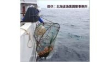 「貨物船」装い密漁か　オホーツク海で違法「カニかご」581個を押収…ロープ総延長は13km超に