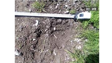 北海道南部・八雲町の畑でヒグマの足跡が見つかる　付近には住宅や国道・JR 　周辺では目撃や痕跡が相次ぐ