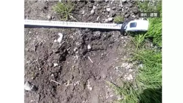 北海道南部・八雲町の畑でヒグマの足跡が見つかる　付近には住宅や国道・JR 　周辺では目撃や痕跡が相次ぐ