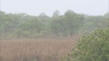 釧路湿原周辺メガソーラー建設計画　事業者が12月上旬にも釧路市で工事に着手予定