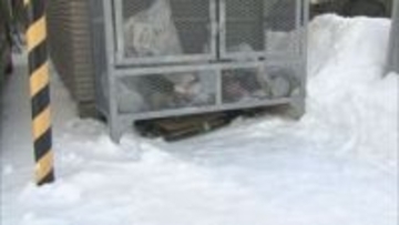 独自　生活保護の受給者に関する大量の書類　ごみ置き場で発見　旭川市の職員が持ち出し投棄していた