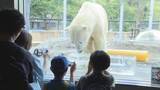 「いよいよ夏休み！　旭山動物園、すずらん公園、恐竜展がにぎわう」の画像1