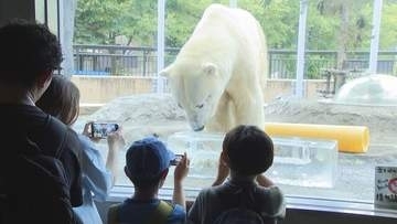 いよいよ夏休み！　旭山動物園、すずらん公園、恐竜展がにぎわう