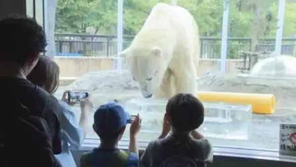 いよいよ夏休み！　旭山動物園、すずらん公園、恐竜展がにぎわう