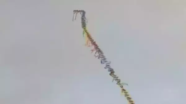 「1、2、3、ゴー！」空を舞う100枚の「連凧」 全長80m…札幌市東区で新春恒例の凧揚げ大会