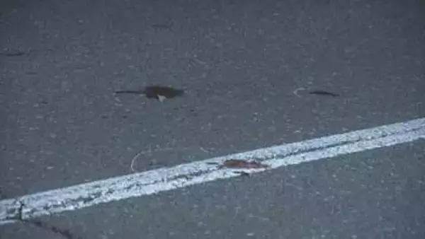 札幌市清田区で歩行者の男性が女性が運転する乗用車にはねられ　意識不明の重体