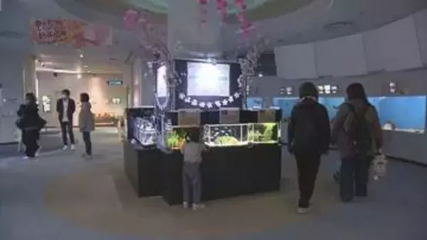 「春をいろどる熱帯魚展」春休みの子どもたちで賑わう　サンピアザ水族館　札幌市厚別区