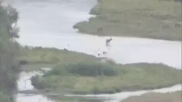 タンチョウ生息地を守れ！鶴居村議会、景観守るためメガソーラー計画中断後の民有地購入の補正予算案を可決