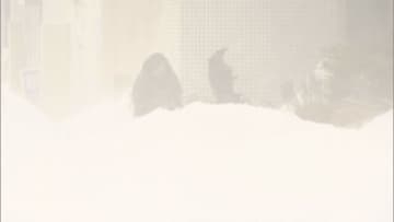 「あと1か月くらいの我慢...」札幌、猛吹雪で雪かきに追われる　小中学校341校が臨時休校、交通網も大混乱