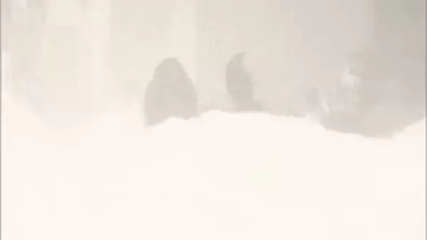 「あと1か月くらいの我慢...」札幌、猛吹雪で雪かきに追われる　小中学校341校が臨時休校、交通網も大混乱