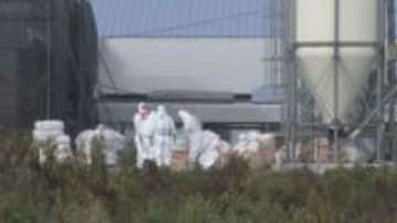 今季全国2例目　北海道恵庭市の養鶏場で約23万6000羽の殺処分はじまる　高病原性鳥インフルエンザの疑いで