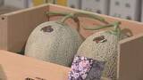 「北海道の初夏の味覚「夕張メロン」初競りで過去最高値更新！2玉580万円で落札、東京都内スーパーで展示へ」の画像1