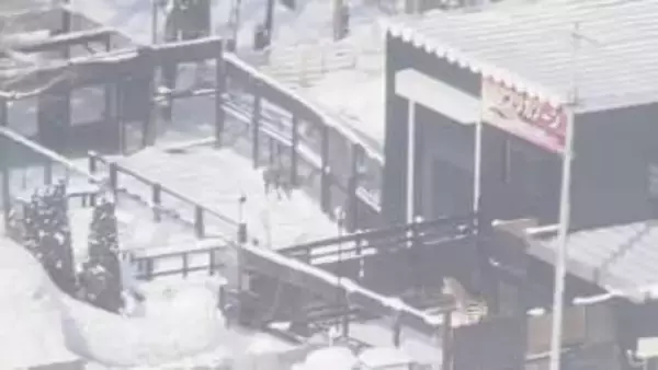 札幌市が違法建物の除却命令手続き　閉園したノースサファリサッポロに弁明書の提出求める