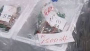 「牛肉A5ランクと中トロを足して2で割ったような味わい」"クジラの王様"が最高値1kg15万円超で落札 札幌