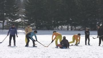 札幌の円山競技場でスノーホッケー大会開催　札幌生まれの冬のスポーツ　大人も子どもも歓声！