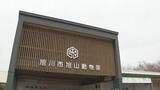 「【中継】今の旭山動物園のようすは？　夏期営業初日が終了　来場者は去年より1000人ほど多い約5000人」の画像1