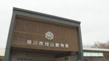 【中継】今の旭山動物園のようすは？　夏期営業初日が終了　来場者は去年より1000人ほど多い約5000人