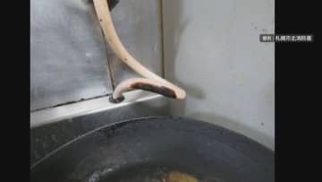 北大・恵迪寮にガスコンロ使用禁止命令　ホースが熱で溶け火災につながる恐れ　札幌市消防局