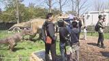「こどもの日、北海道は行楽地大賑わい！巨大恐竜・人気ゾウ・梅ソフトに行列、GWは「安・近・短」で満喫」の画像1