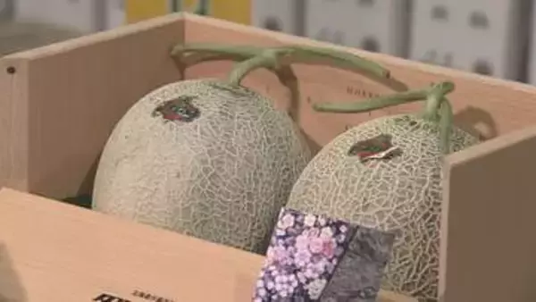 【速報】北海道を代表する果物「夕張メロン」初競りは 2玉580万円の"最高値更新" で落札 東京へ