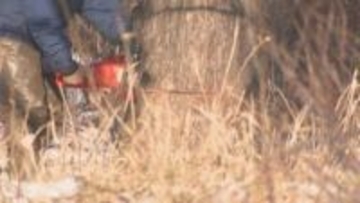 「これ以上のことできない」釧路メガソーラー計画、住民からの合意ないまま希少生物の止まり木など伐採開始