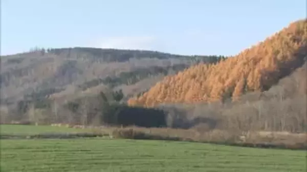 "東洋一の金山"復活か？　掘削調査で金色に光る岩が見つかる　地元には期待と不安の声　北海道遠軽町