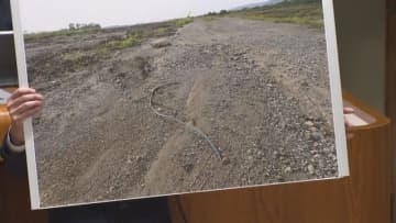 釧路湿原周辺メガソーラー建設　現場にガラス片　「産業廃棄物処理法違反」の可能性を釧路市議が指摘