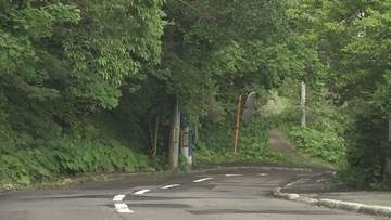 塾へ向かう途中に…クマ3頭を中学生が目撃　通りがかった車がクラクションで撃退、山へ走り去る　札幌