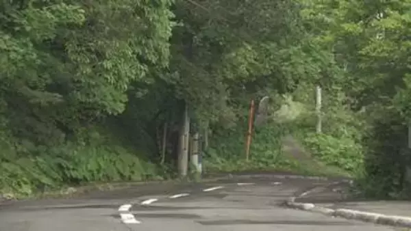 塾へ向かう途中に…クマ3頭を中学生が目撃　通りがかった車がクラクションで撃退、山へ走り去る　札幌