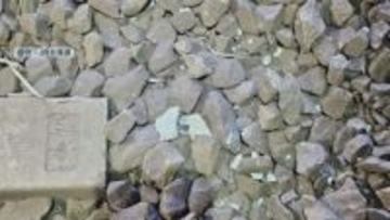 JR室蘭駅構内のトンネルで落下したコンクリート片が見つかる　点検のため特急など計12本運休