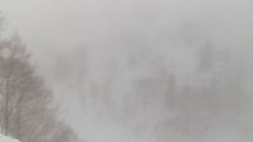 上富良野岳で外国人とみられる男性が雪崩に巻き込まれる　警察に救助されるも意識に障害あり　上富良野町