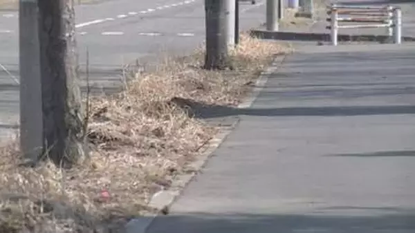 「「適当に包丁を振るったら刺さった」面識ない男性の腹を刺し殺人未遂の疑い 共通の知人女性が現場に 苫小牧」の画像