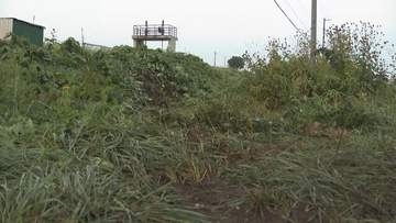 「バイクに追突した」　北海道当麻町の国道39号で乗用車が原付バイクに追突　男性が重体　会社員の男逮捕